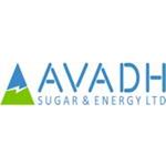 AVADH SUGAR & ENERGY LTD