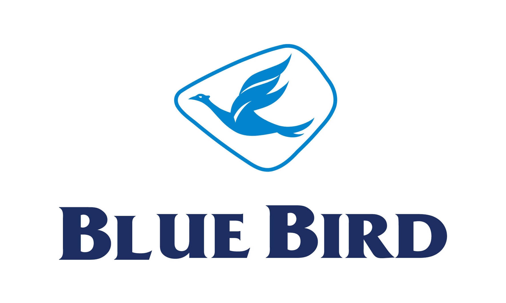 Blue Bird