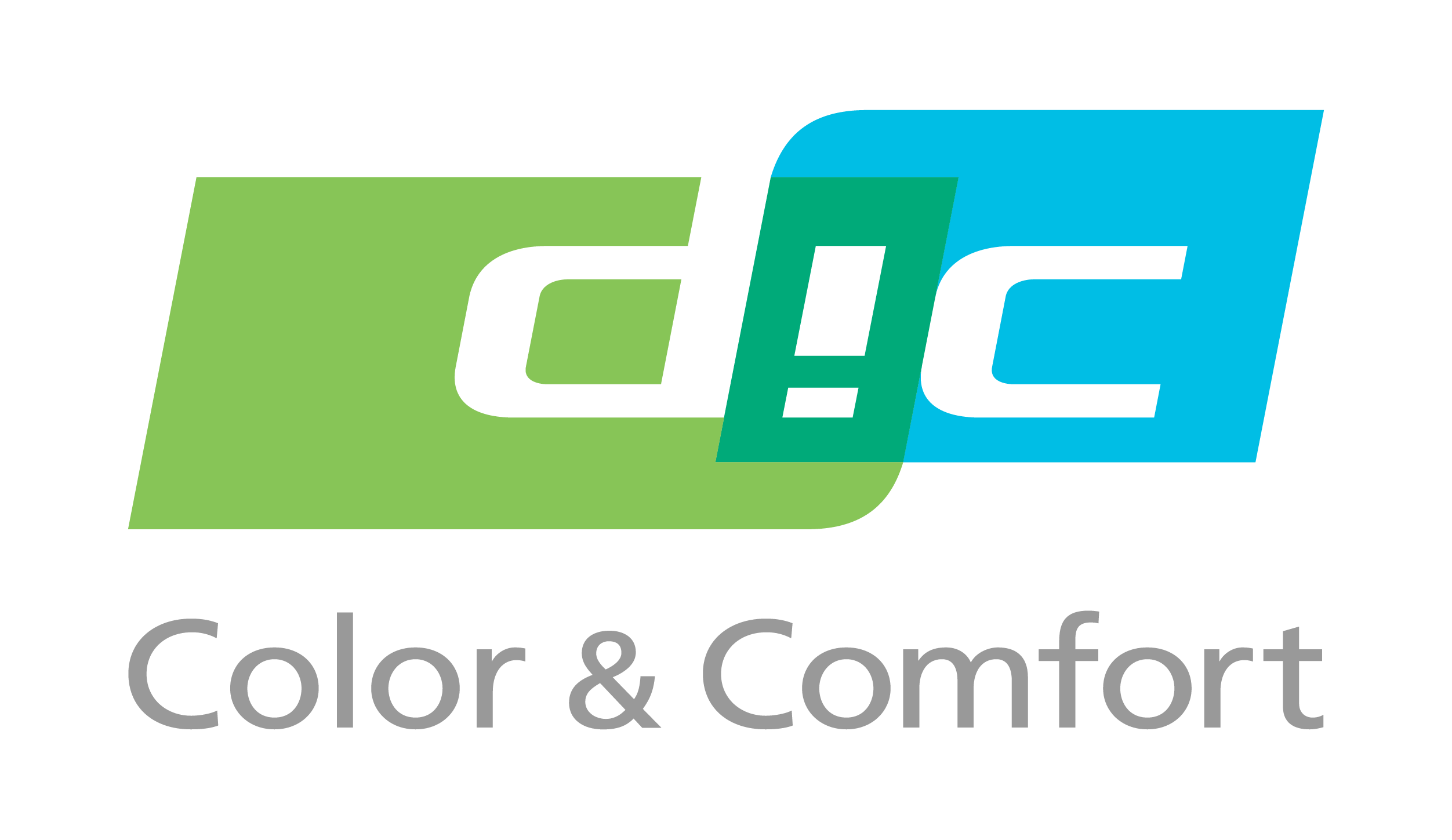 DIC India Ltd