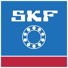 SKF Bearing