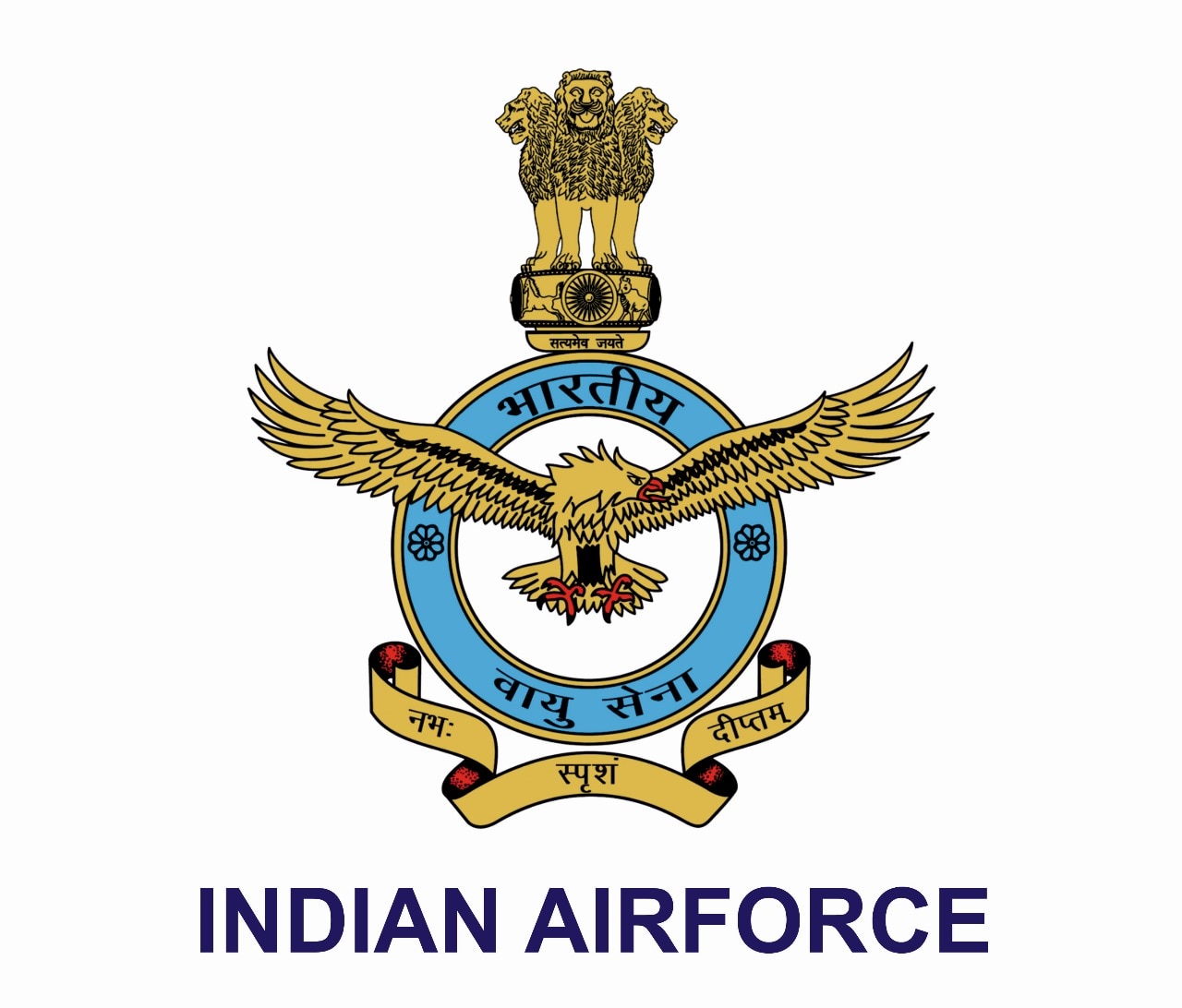 Indian Air Force logo