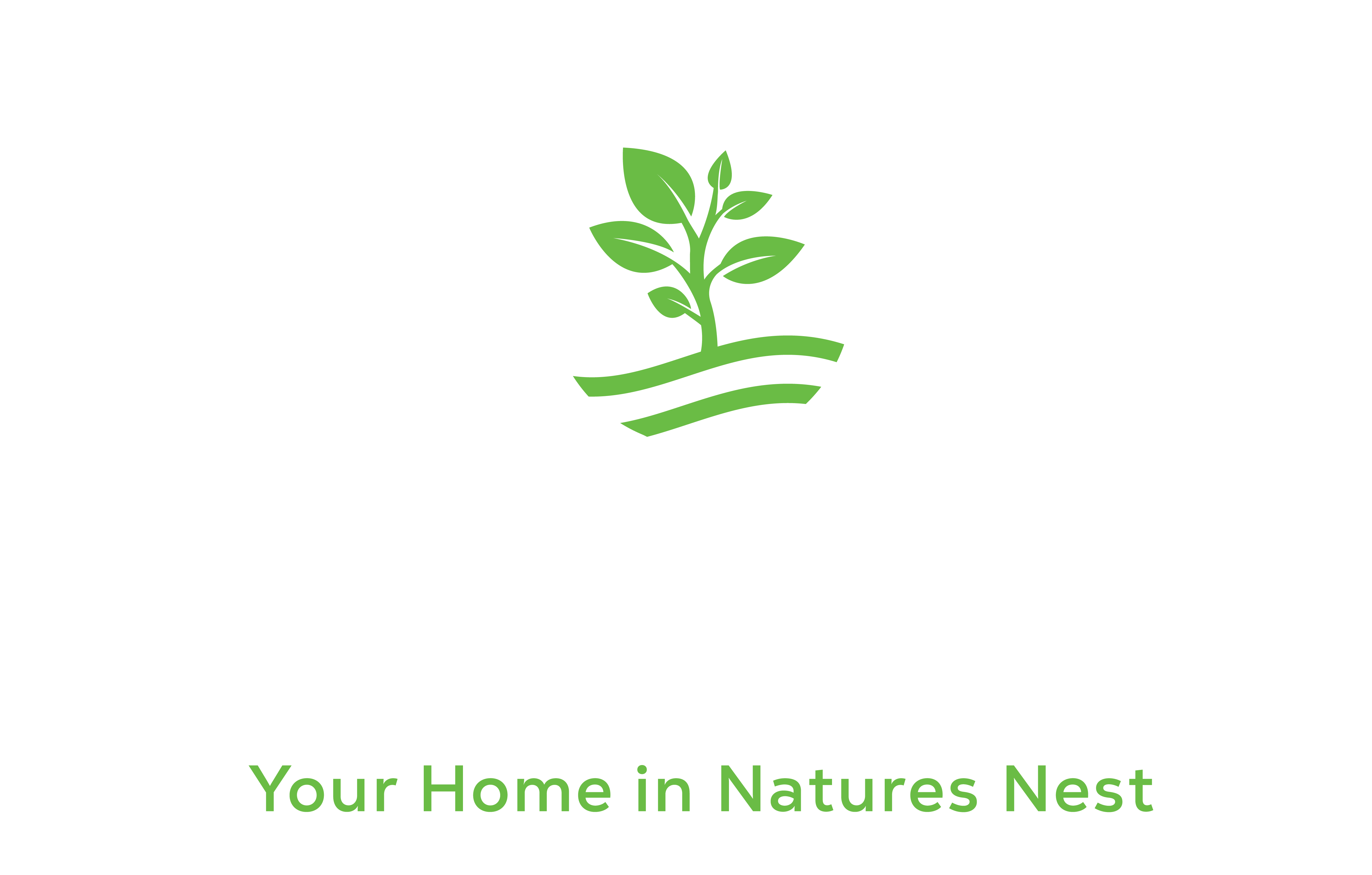The Jungle Cruise Dandeli 