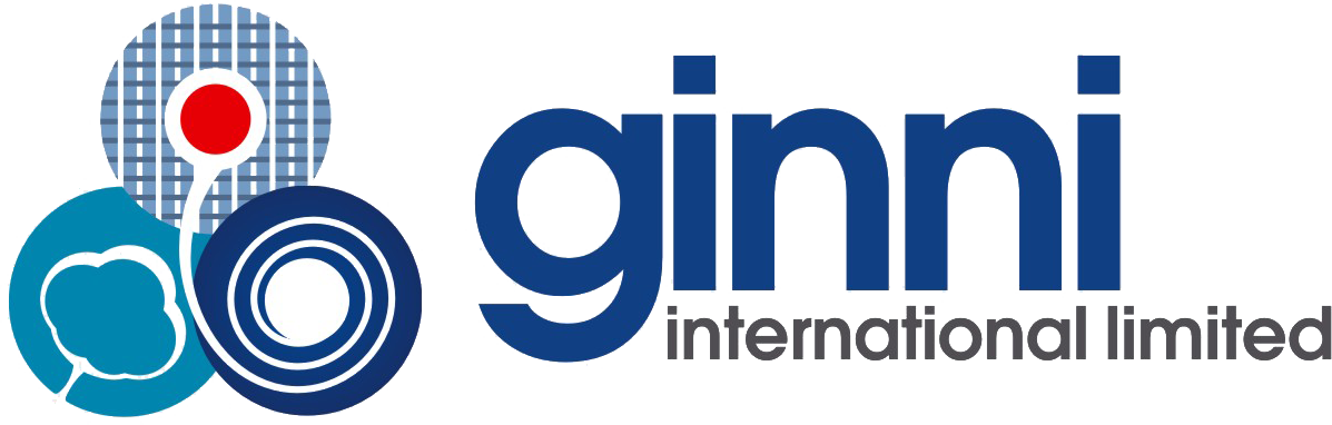 GINNI INTERNATIONAL LTD