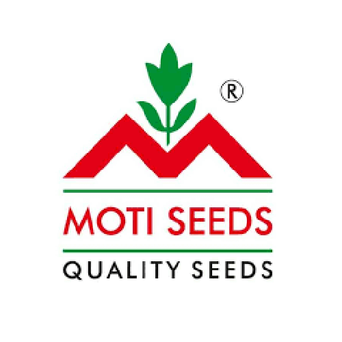 MOTI SEEDS