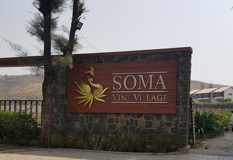 SOMA WINEYARDS