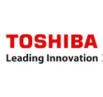 Toshiba Transmission & Distribution Systems India Pvt Ltd.