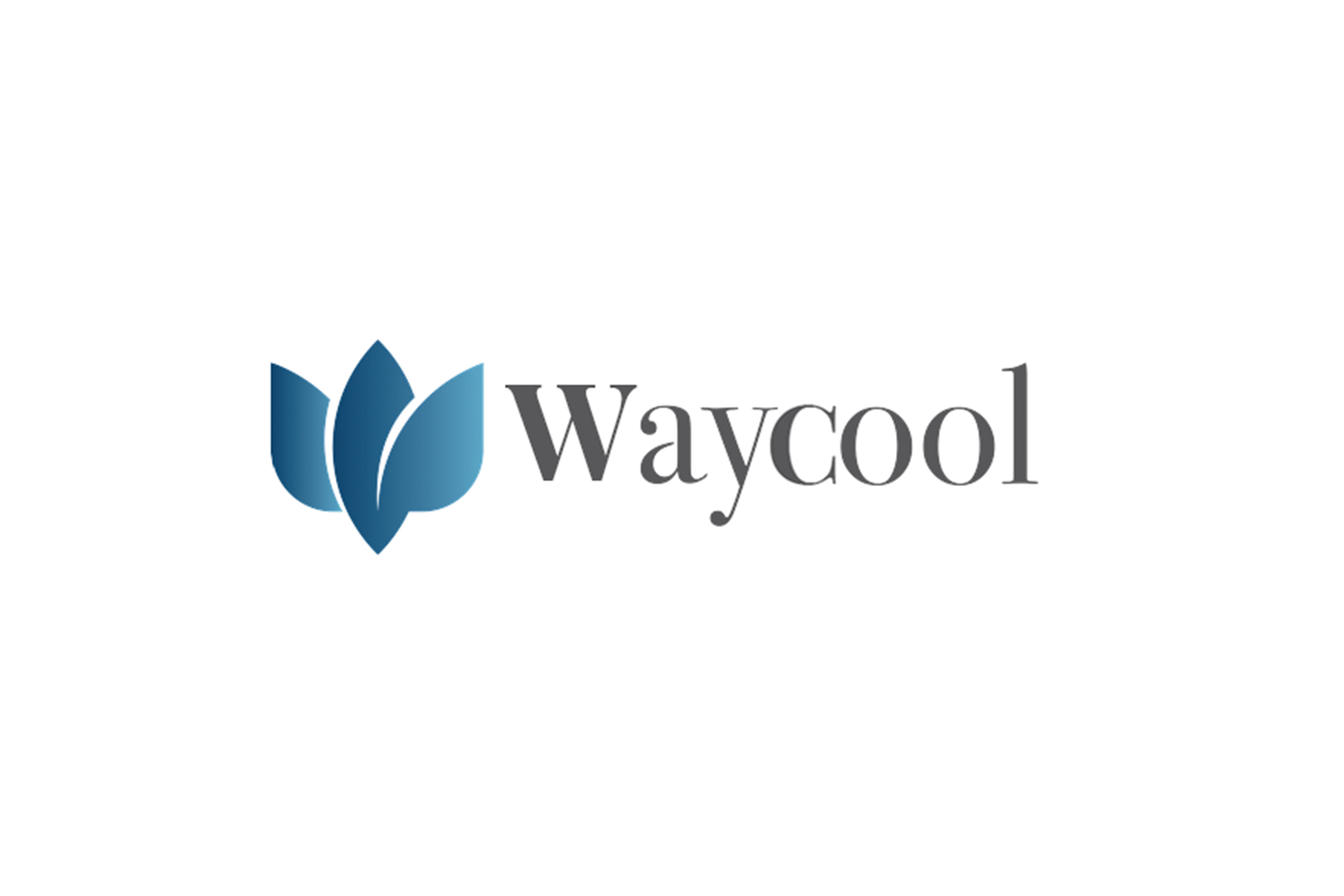 WAYCOOL FOOD AND PRODUCTS PRIVATE LIMITED