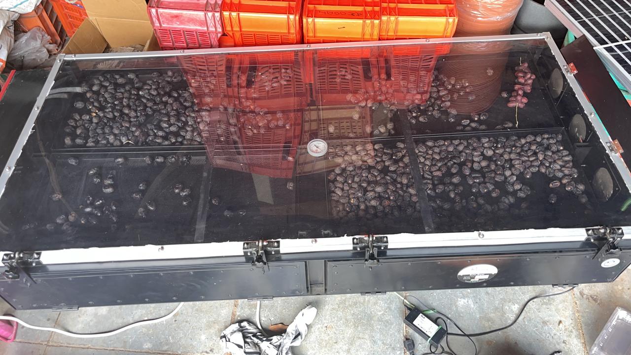 Solar Dryer IN Rajasthan