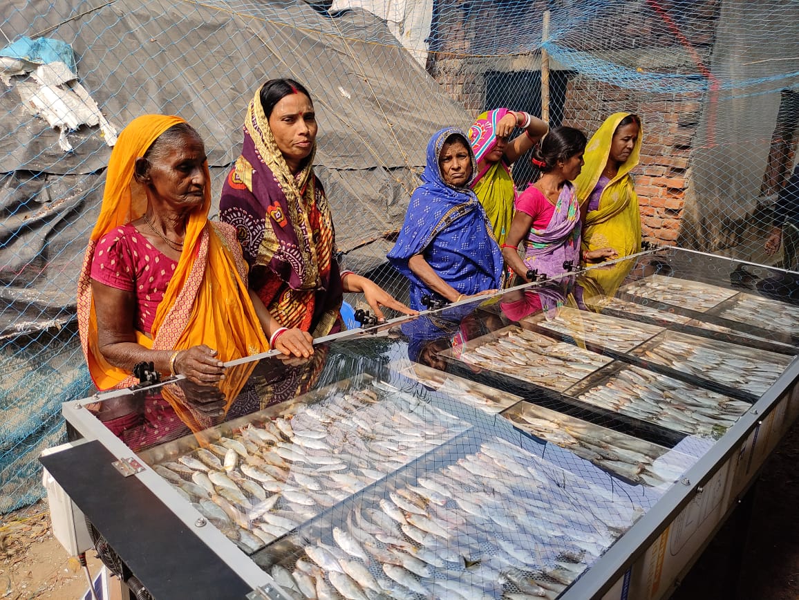 Solar Dryer In Odisha