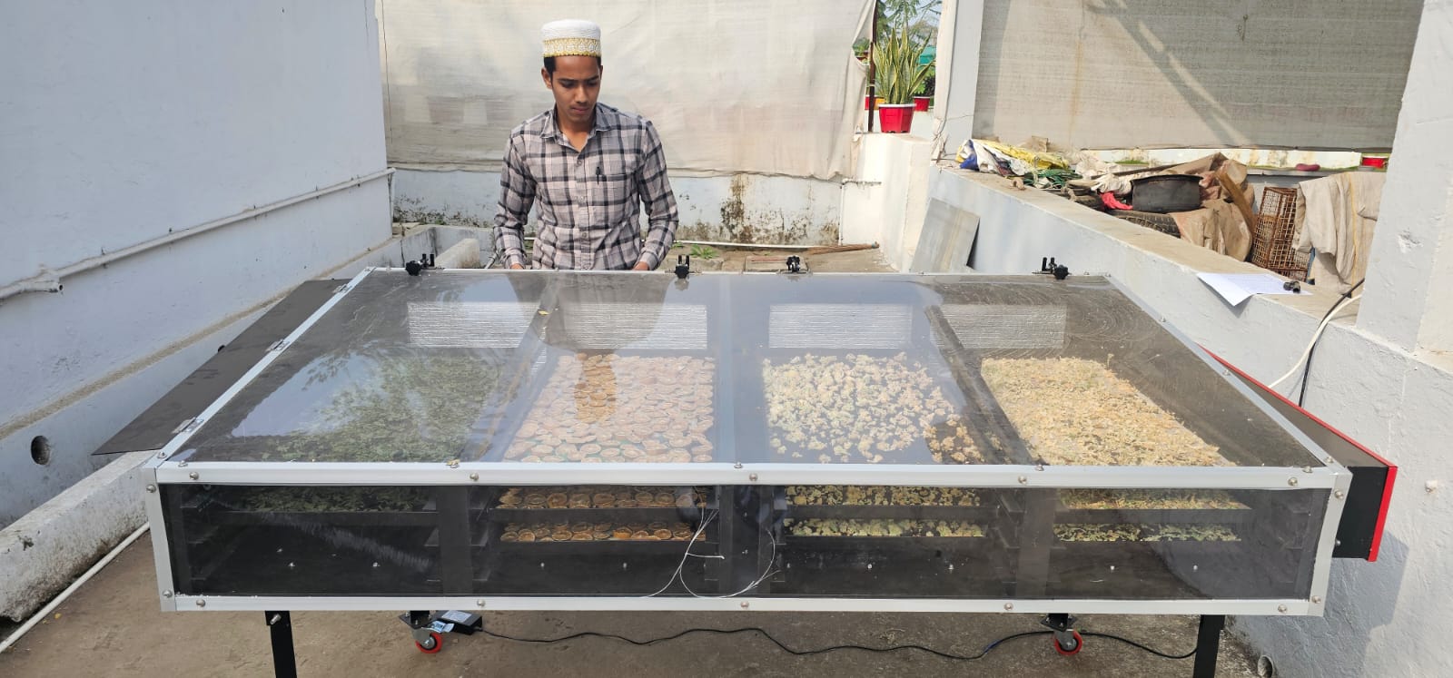 Solar Dryer In Punjab