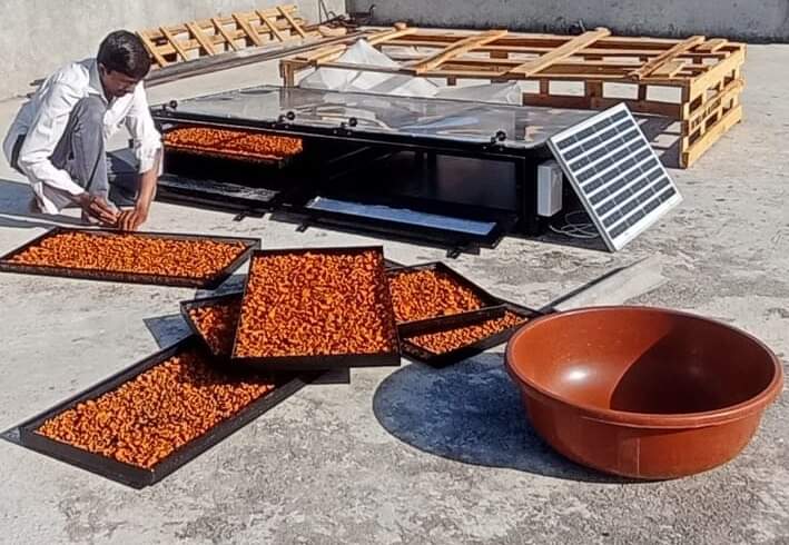 Solar Dryer In Goa