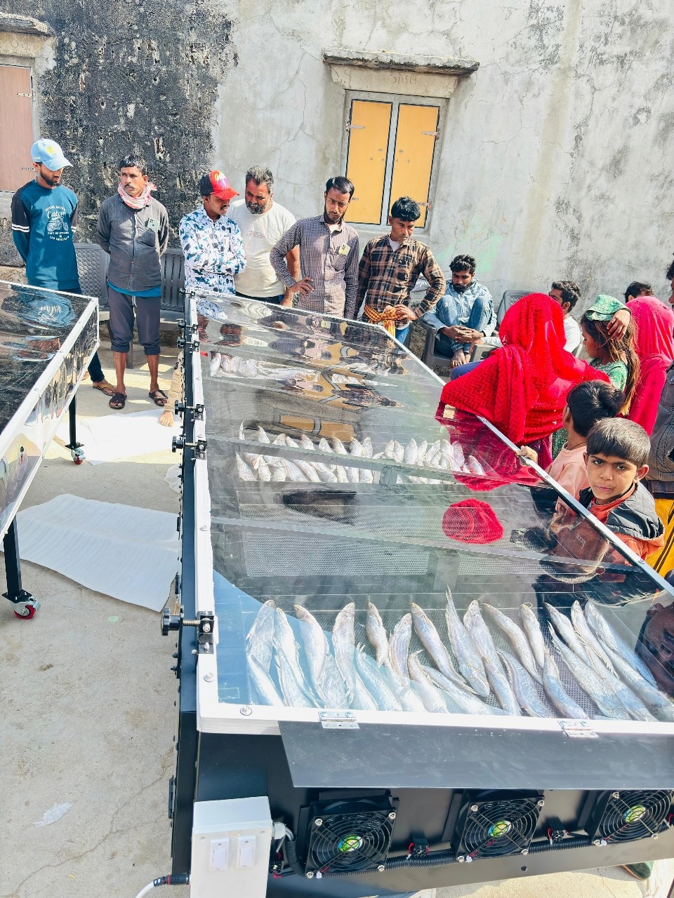 Solar Dryer In Mizoram