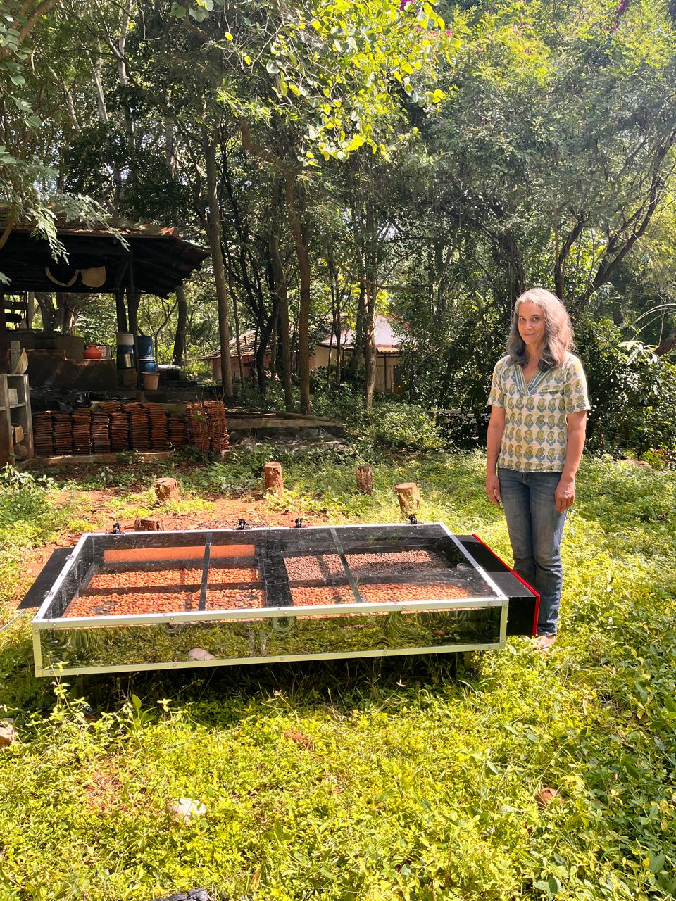 Solar Dryer In Assam