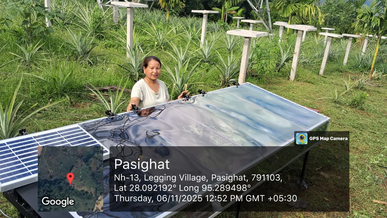 Solar Dryer In Haryana