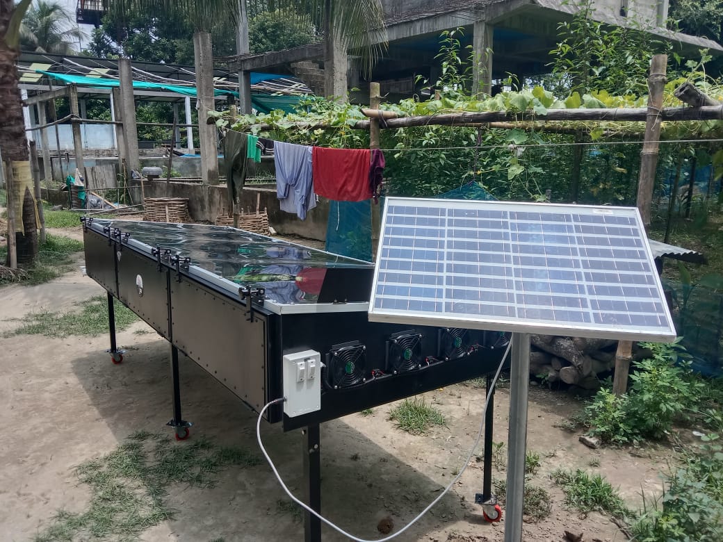 Solar Dryer In Haryana