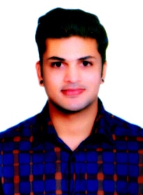 नायब तहसीलदार