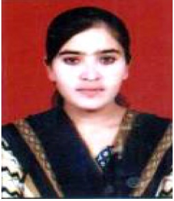 नायब तहसीलदार