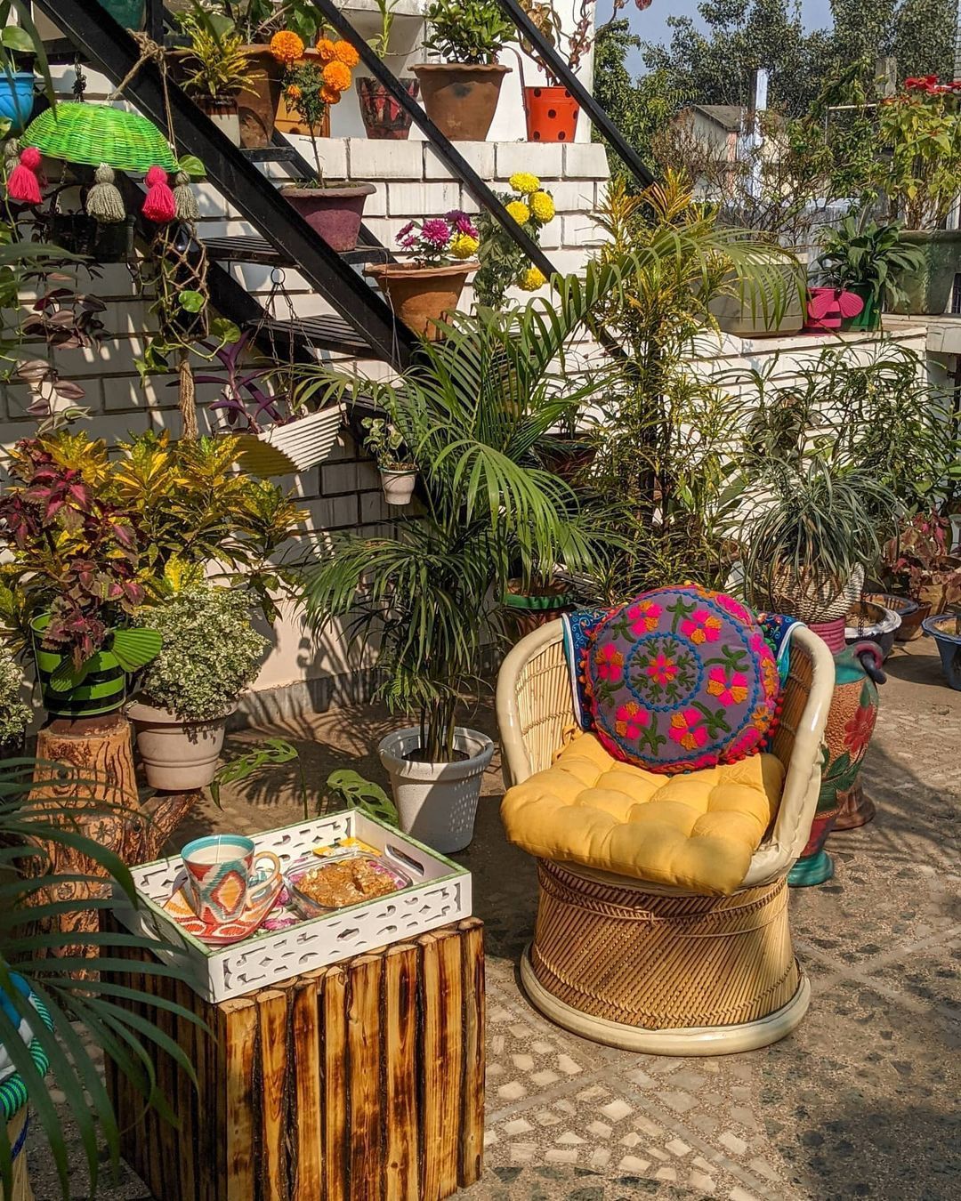 Outdoor Gardening for Apartments in Chennai image 5