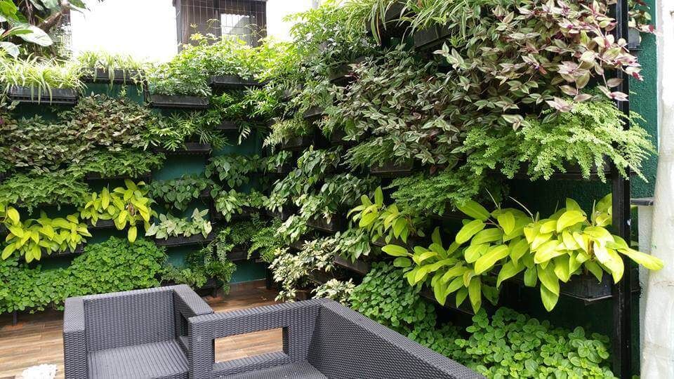 Outdoor Vertical Garden Setup Chennai image 2
