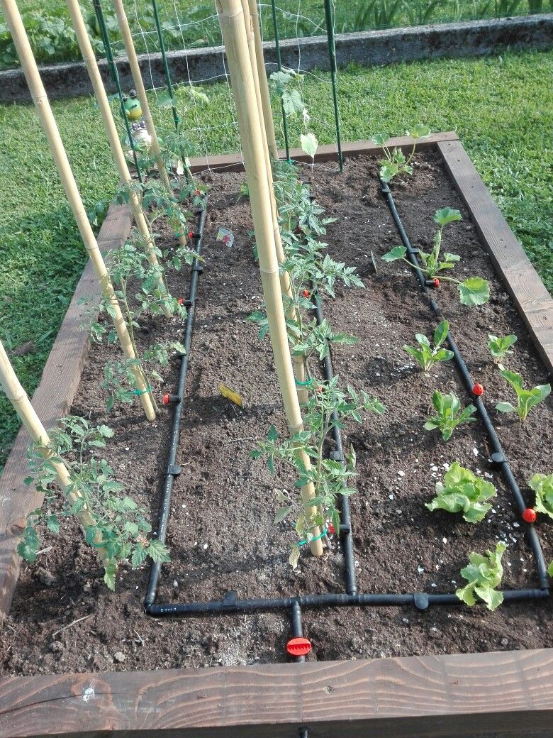 Outdoor Garden Drip Irrigation Setup Chennai image 6
