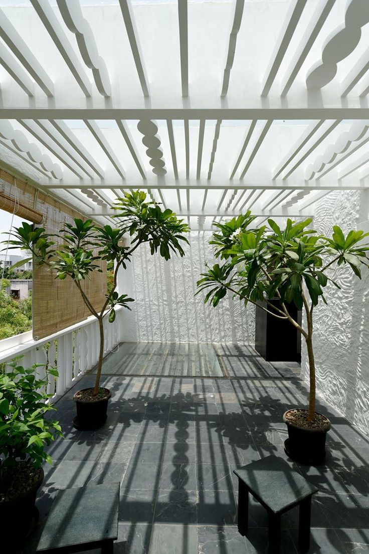 Indoor Plant Care & Maintenance Chennai image 5