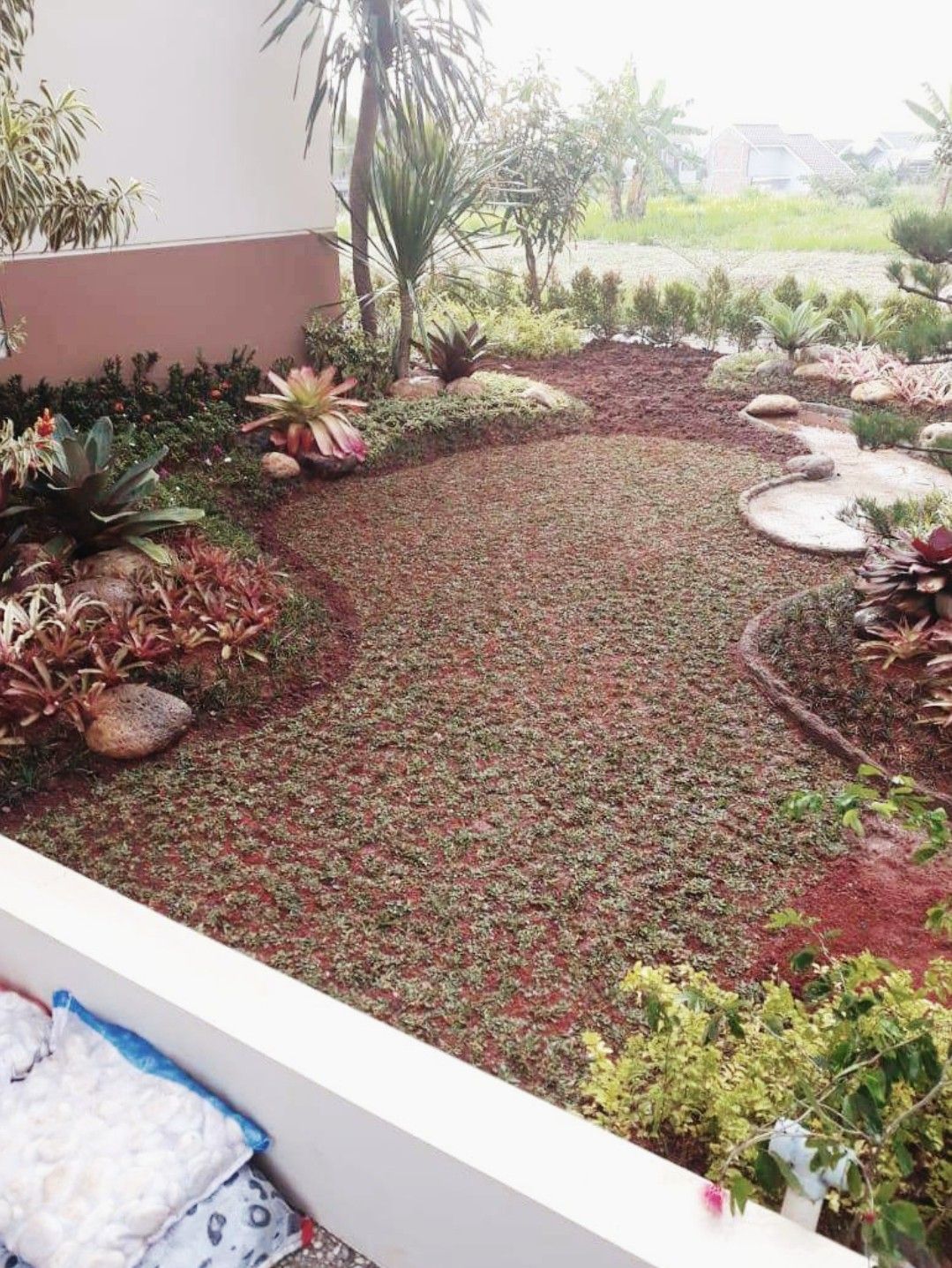 Frontyard Returfing & Soil Improvement Chennai image 2
