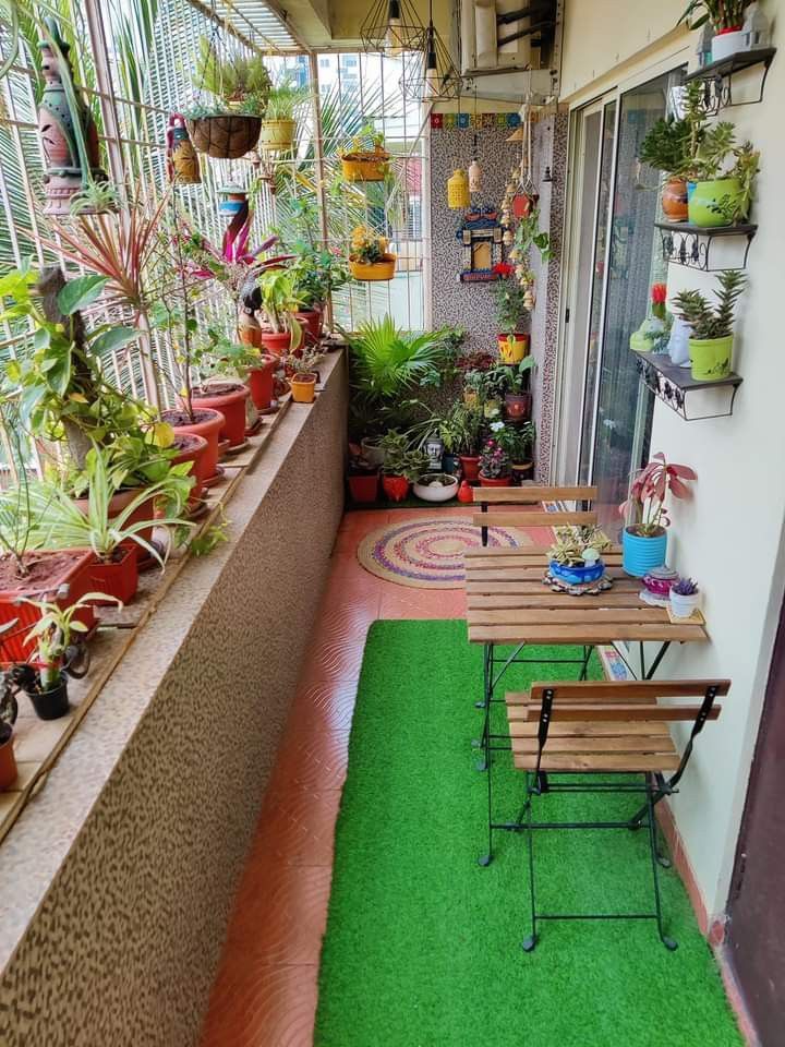 Indoor Gardening for Apartments Chennai image 5