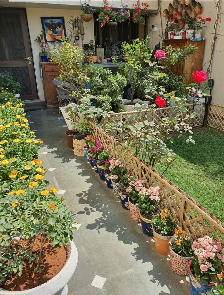 Best Outdoor Garden Designers in Chennai image 4