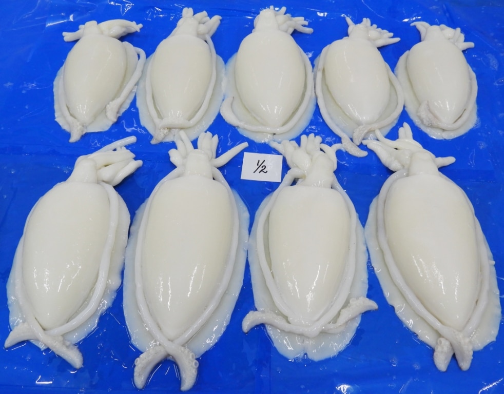 CUTTLEFISH WHOLE CLEANED (IQF) image 2