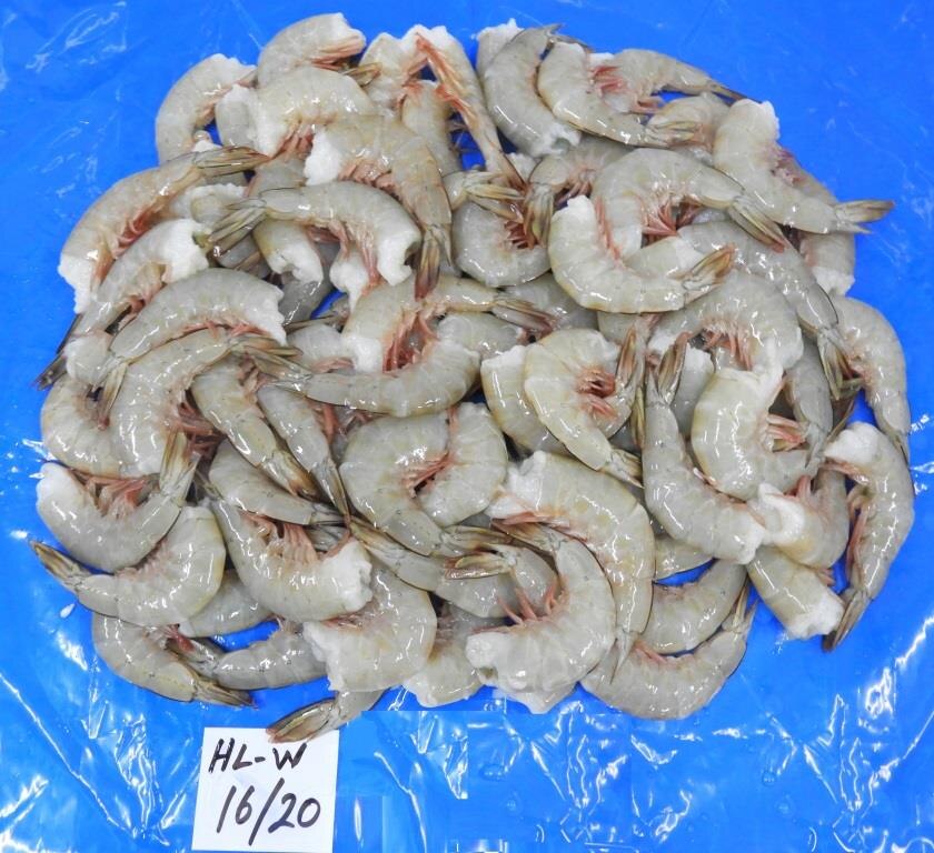 HEADLESS WHITE SHRIMPS & PRAWNS (BLOCK FROZEN) image 3
