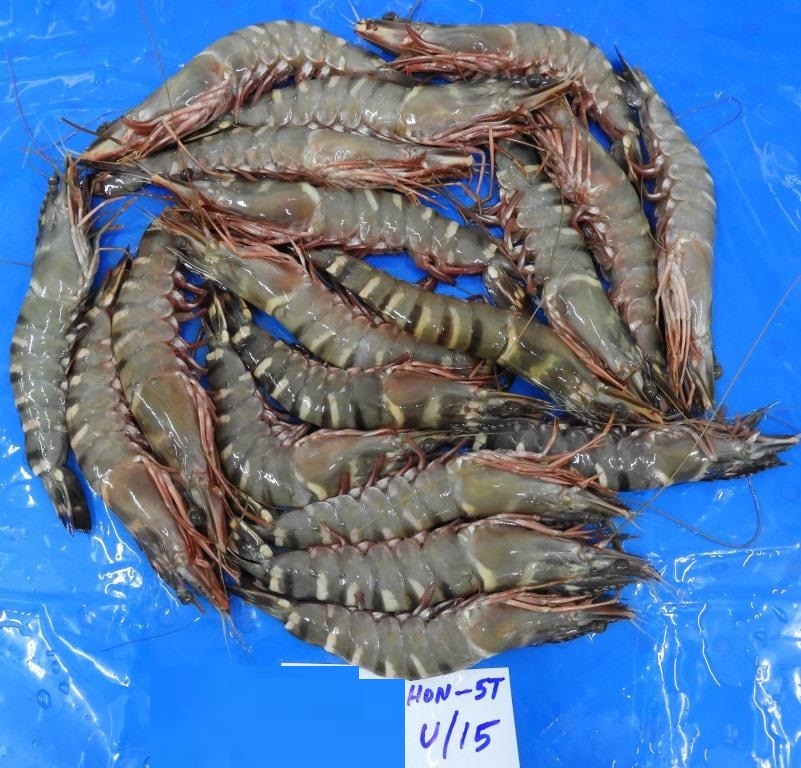 HEAD ON SEA TIGER BLOCK FROZEN SHRIMPS image 3