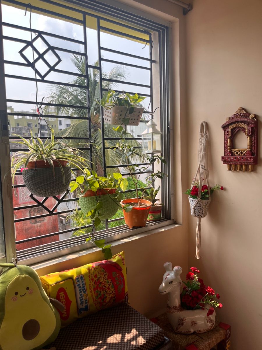 Indoor Plant Renovation Service Chennai image 3