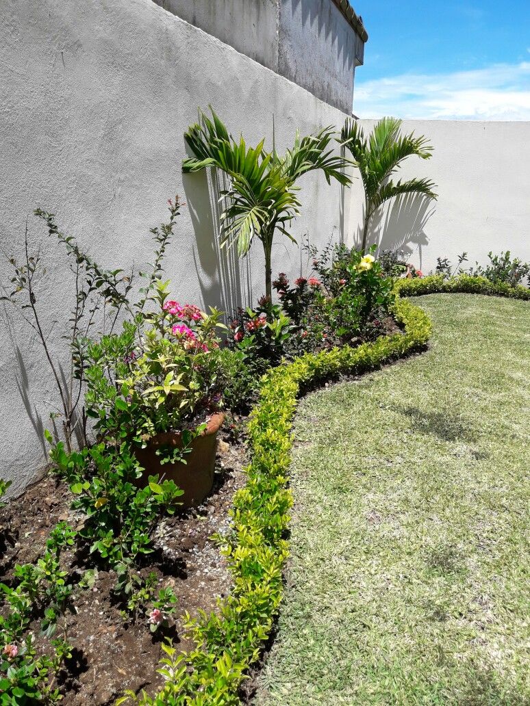 Backyard Irrigation & Landscaping Chennai image 3