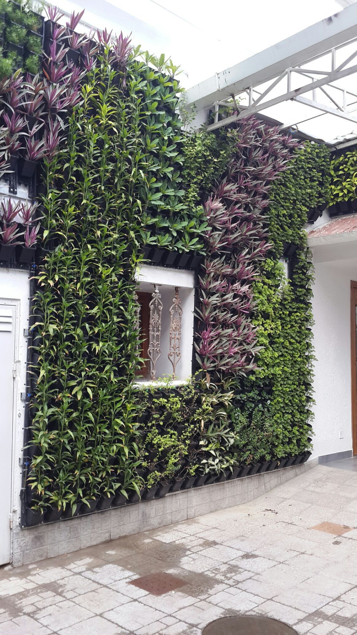 Outdoor Vertical Garden Setup Chennai image 4