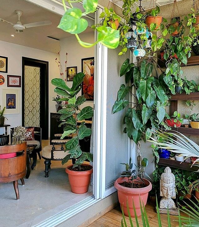 Indoor Plant Design & Setup Chennai image 2