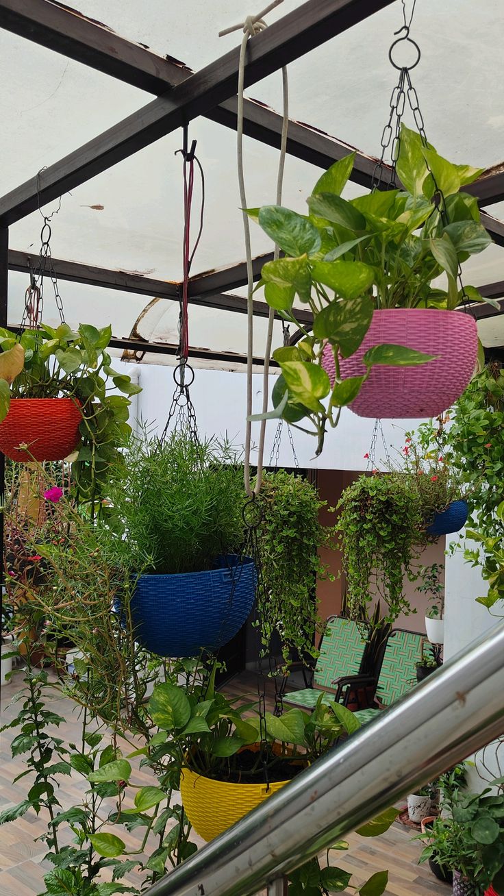Balcony & Terrace Garden Setup Services in Chennai image 3