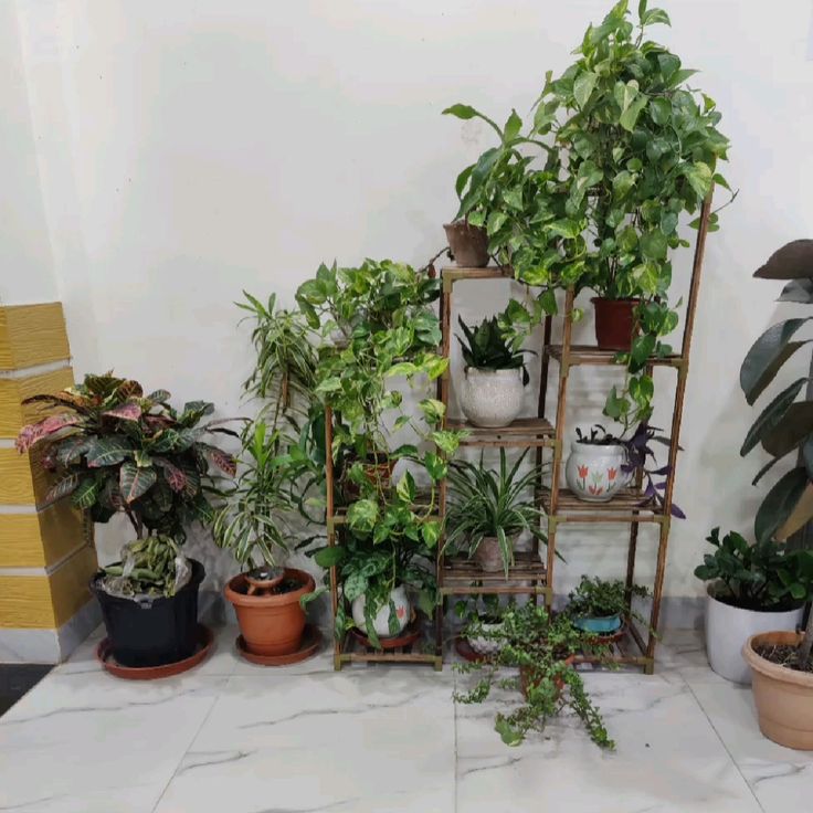 Indoor Gardening Contractors Chennai image 4