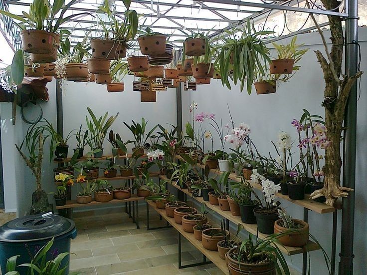Chennai Terrace Garden Designers for Urban Homes image 5