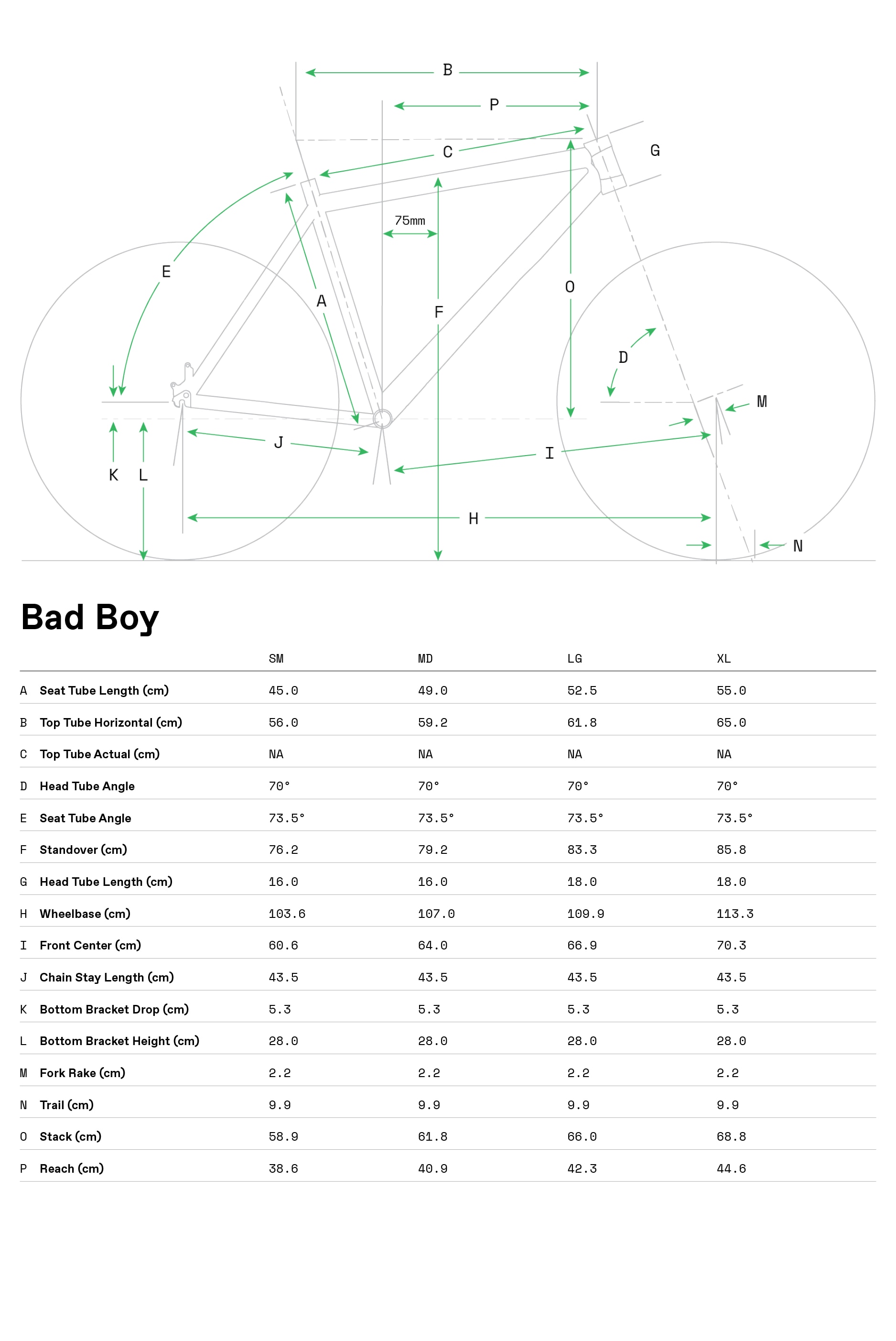 CANNONDALE BAD BOY 3 (M) LEFTY image 2