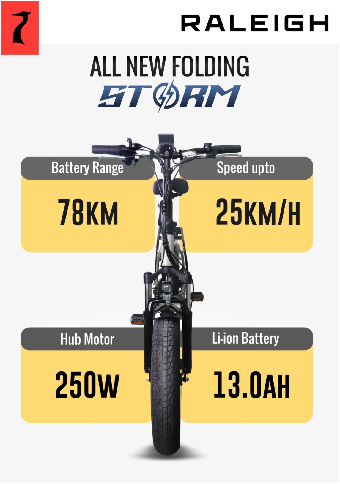 RALEIGH E-STORM (E-BIKE) image 2