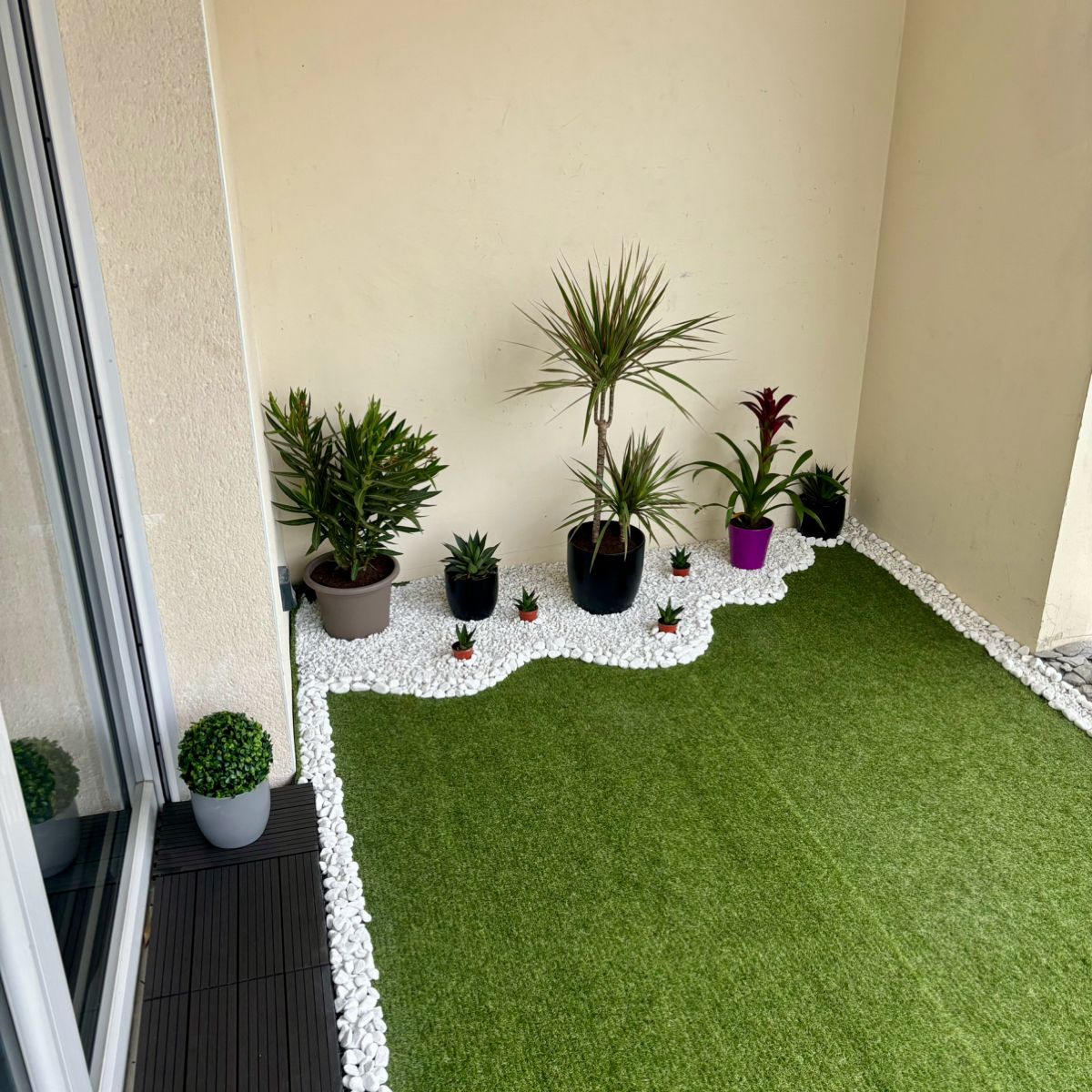Low-Maintenance Balcony Garden Setup in Chennai image 3