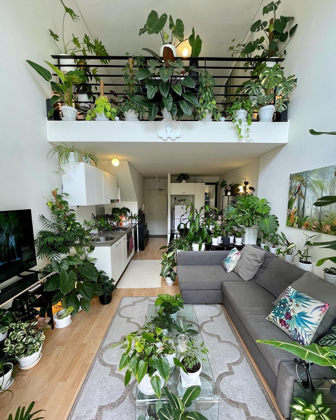 Top Indoor Garden Services Chennai image 5