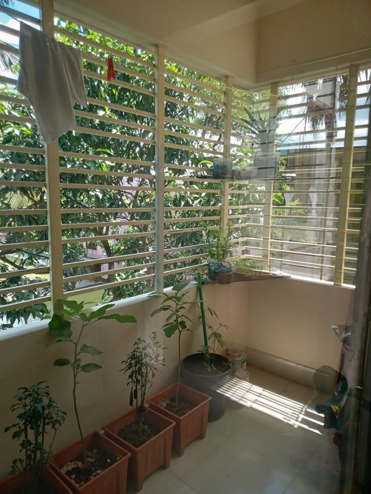Low-Maintenance Balcony Garden Setup in Chennai image 5