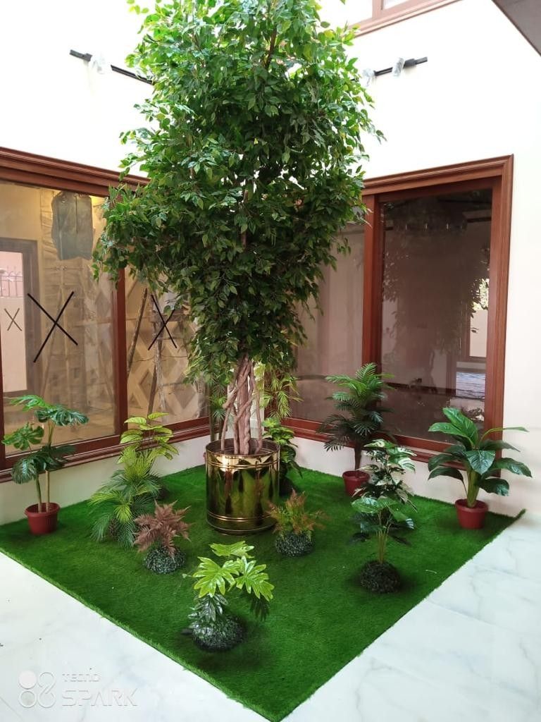 Professional Indoor Garden Setup Chennai image 5