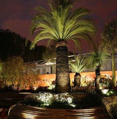 Outdoor Garden Lighting & Theme Setup Chennai image 3