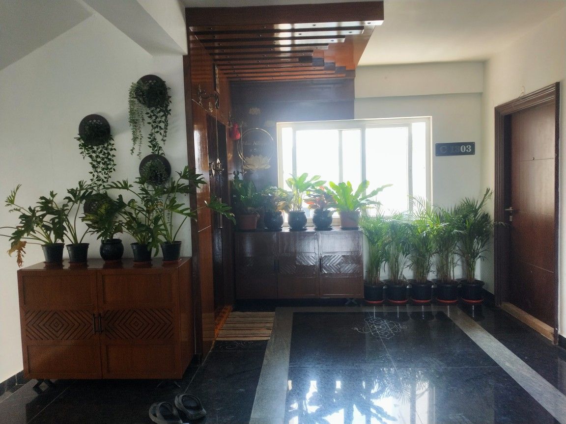 Indoor Plant Design & Setup Chennai image 5