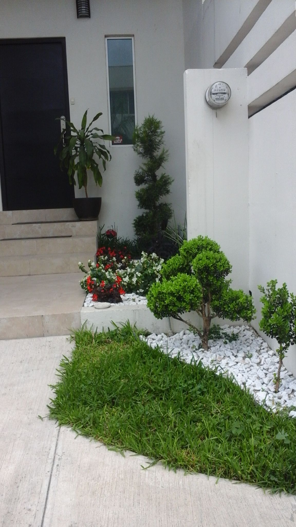 Low Maintenance Frontyard Landscaping Chennai image 3