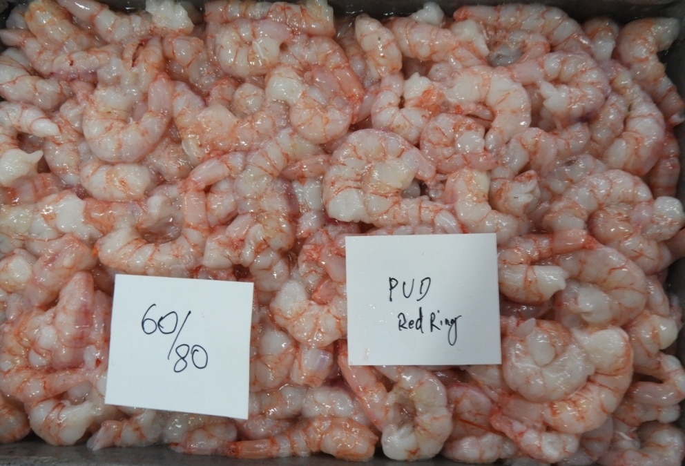 PUD RED RING SHRIMPS, BLOCK FROZEN image 2