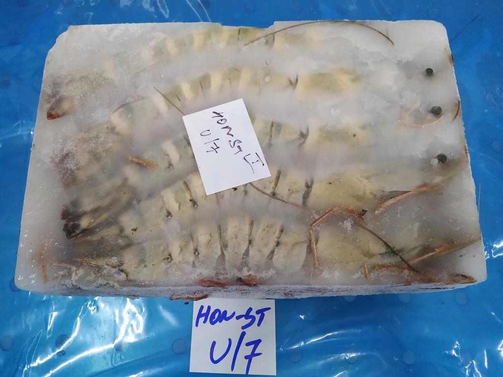 HEAD ON SEA TIGER SHRIMPS & PRAWNS (BLOCK) image 3