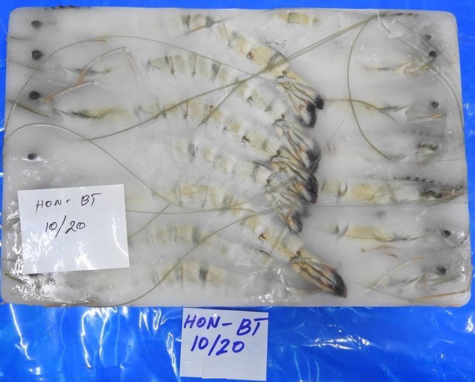 HEAD ON BLACK TIGER SHRIMPS/PRAWNS - BLOCK image 3